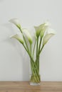 Beautiful calla lily flowers in glass vase on wooden table near white wall Royalty Free Stock Photo