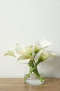 Beautiful calla lily flowers in glass vase on wooden table near white wall Royalty Free Stock Photo