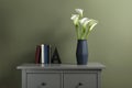 Beautiful calla lily flowers in vase and books on grey chest of drawers near olive wall