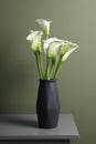 Beautiful calla lily flowers in vase on grey table near olive wall
