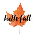 Beautiful calligraphy lettering text - Hello Fall. Bright orange red watercolor artistic maple leaf vector illustration isolated Royalty Free Stock Photo