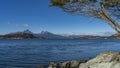 Beautiful calm blue lake of Patagonia. Nothofagus trees grow on the rocky shores. Royalty Free Stock Photo