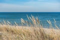 Beautiful calm blue sea with waves and sandy beach with reeds and dry grass Royalty Free Stock Photo
