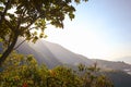 Beautiful, calm and brightful landscape of sunshine with tree, green leaves, mountains and sky during sunset. Royalty Free Stock Photo