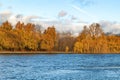 Autumn forest over Moscow river