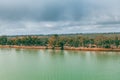 Eucalyptus forest on the shores of Murray River.