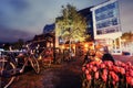 Beautiful calm night view of Amsterdam city. Royalty Free Stock Photo