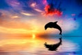 Beautiful ocean and sunset, dolphin jumping