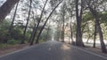 Beautiful calmness countryside road with shady pine tree on side of the road