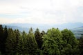 Beautiful Calmness in Forest in front of the Alps Mountain