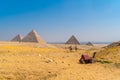 Beautiful camel in the Pyramids of Giza, the oldest Funerary monument in the world, Cairo, Egypt