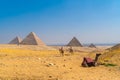 Beautiful camel in the Pyramids of Giza, the oldest Funerary monument in the world, Cairo, Egypt