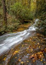 Beautiful Camp Creek Falls wander through Pisgah Forest in Glen Cannon