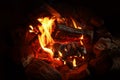 Beautiful campfire with burning firewood outdoors at night, closeup