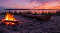 beautiful campfire in front of a beautiful beach