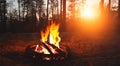 beautiful campfire in the middle of the forest at sunset in high resolution HD