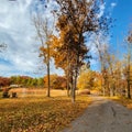 A beautiful camping spot in the fall time. Autumn in Iowa. Royalty Free Stock Photo