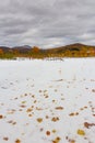 Beautiful Canada landscape under the snow