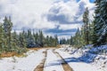 Beautiful Canadian Logging Road In Winter Royalty Free Stock Photo