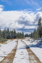 Beautiful Canadian Logging Road In Winter Royalty Free Stock Photo