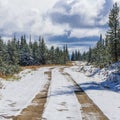 Beautiful Canadian Logging Road In Winter Royalty Free Stock Photo