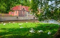 Beautiful canal and traditional houses in the old town of Bruges Brugge, Belgium Royalty Free Stock Photo