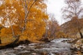 Beautiful canal on the way from Chemal district to Aktash,Russia.