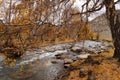 Beautiful canal on the way from Chemal district to Aktash,Russia.