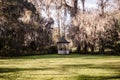 Beautiful canopy of live oak trees and resurrection ferns with spanish moss by a white gazebo at the Magnolia plantation in