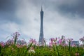 Beautiful Canton Tower in Guangzhou