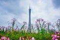 Beautiful Canton Tower in Guangzhou