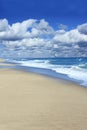 Beautiful Cape Cod beach Royalty Free Stock Photo