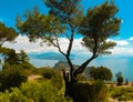 The beautiful Capri island Royalty Free Stock Photo