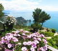Beautiful Capri island - Italian travel series Royalty Free Stock Photo