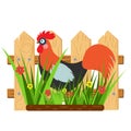 Beautiful card with a cartoon rooster with fence and grass with flowers. Royalty Free Stock Photo