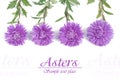 Beautiful card with floral patterns of blue asters