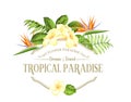 Beautiful card with a wreath of strelitzia tropical flowers and monstera leaves. Tropical flower garland. Blossom