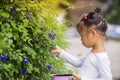 beautiful carefree asian girl playing outdoors in field with high green grass. little child picking up pea butterfly flowers Royalty Free Stock Photo