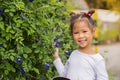 beautiful carefree asian girl playing outdoors in field with high green grass. little child picking up pea butterfly flowers Royalty Free Stock Photo