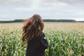 Beautiful carefree long hair asian girl in knitted sweater from behind in the autumn corn field. Sensitivity to nature concept Royalty Free Stock Photo