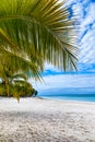 Beautiful caribbean beach, Dominican Republic. Royalty Free Stock Photo