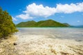 Beautiful Caribbean beach Royalty Free Stock Photo