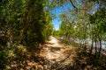 Beautiful Caribbean beach Royalty Free Stock Photo