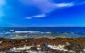 Beautiful Caribbean beach totally filthy dirty nasty seaweed problem Mexico