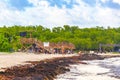 Beautiful Caribbean beach totally filthy dirty nasty seaweed problem Mexico