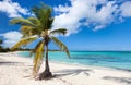 Beautiful Caribbean beach Royalty Free Stock Photo