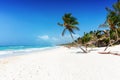 The beautiful Caribbean beach of Tulum, Quintana Roo, Mexico Royalty Free Stock Photo