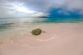 A beautiful Caribbean pink beach at the Bahamas Royalty Free Stock Photo