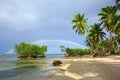 Colorful rainbow over caribbean sea and green palms.Travel background. Royalty Free Stock Photo