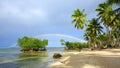 Colorful rainbow over caribbean sea and green palms.Travel background. Royalty Free Stock Photo